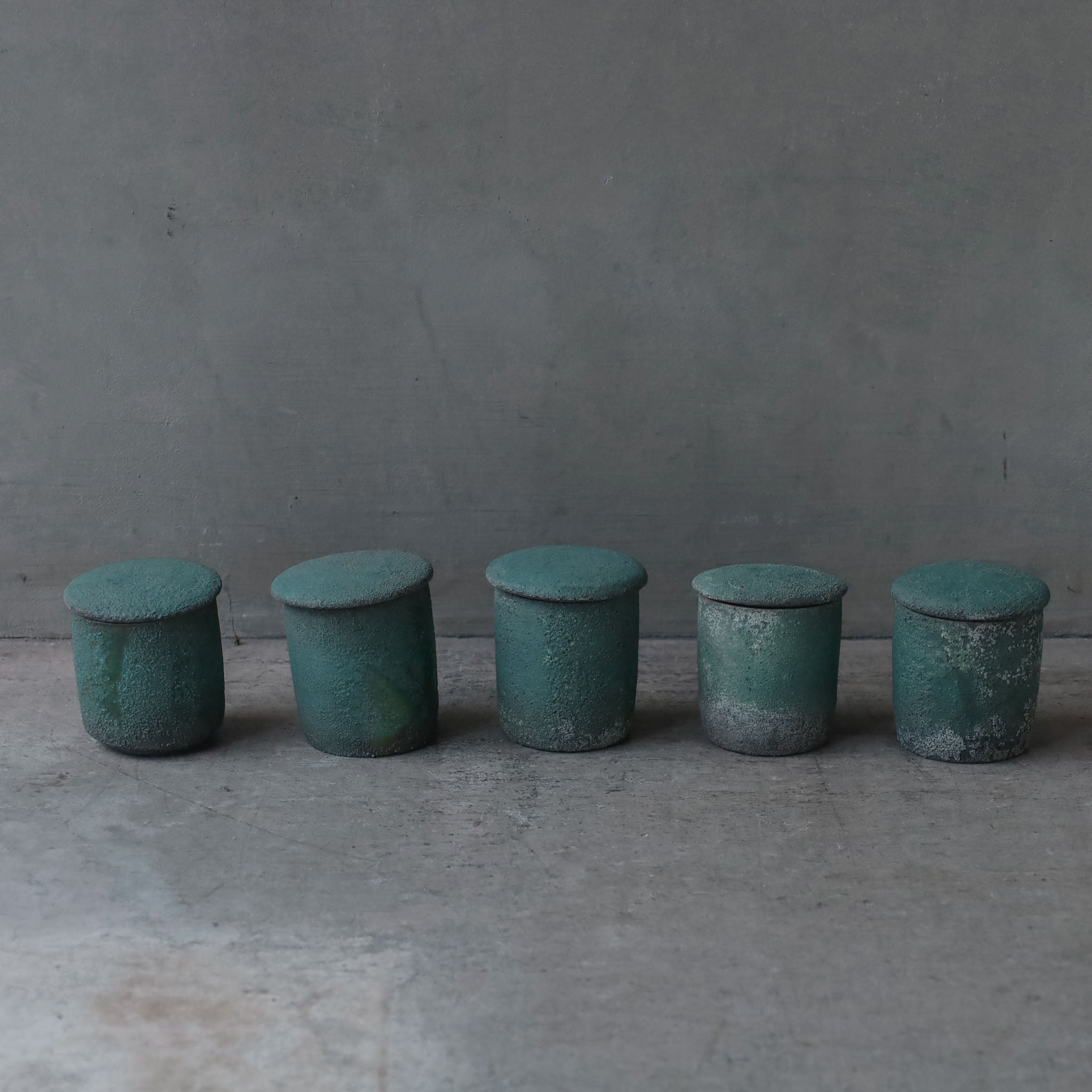 Etsuji Noguchi: Rokusho Kinrinji Chaire (Patina Lidded Tea Jar)