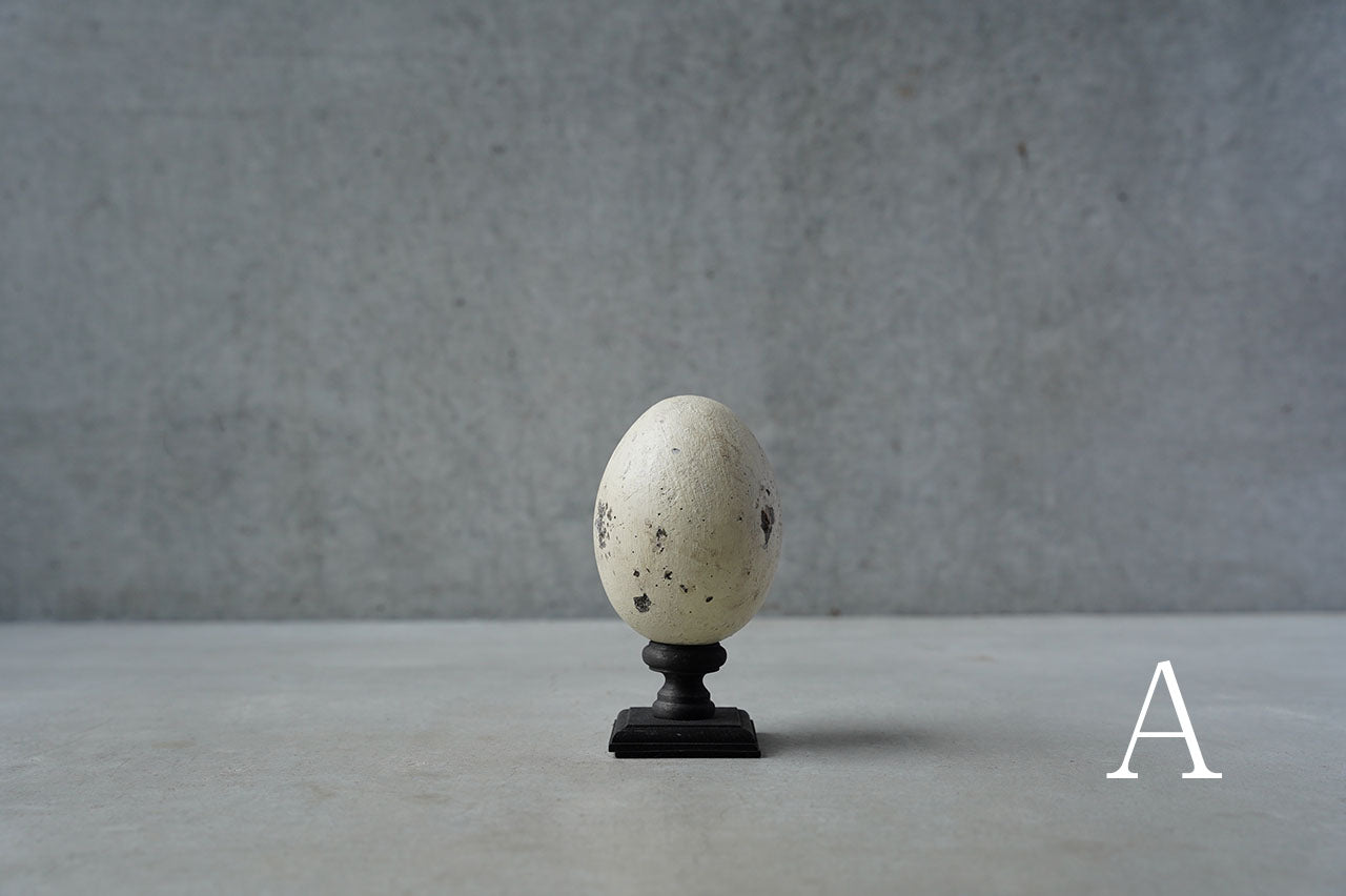 ●24-NM 29水田典寿 egg object