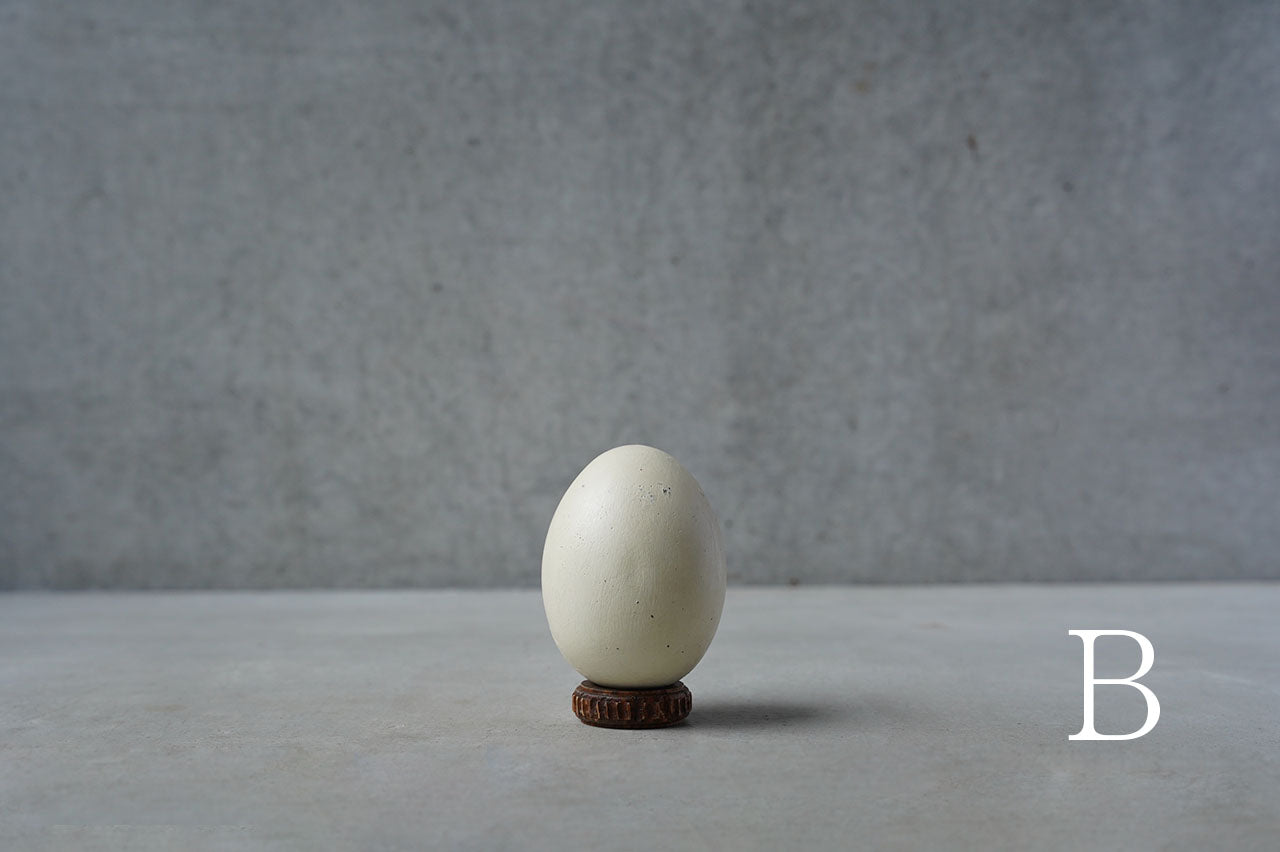 ●24-NM 30水田典寿 egg object (Low pedestal)