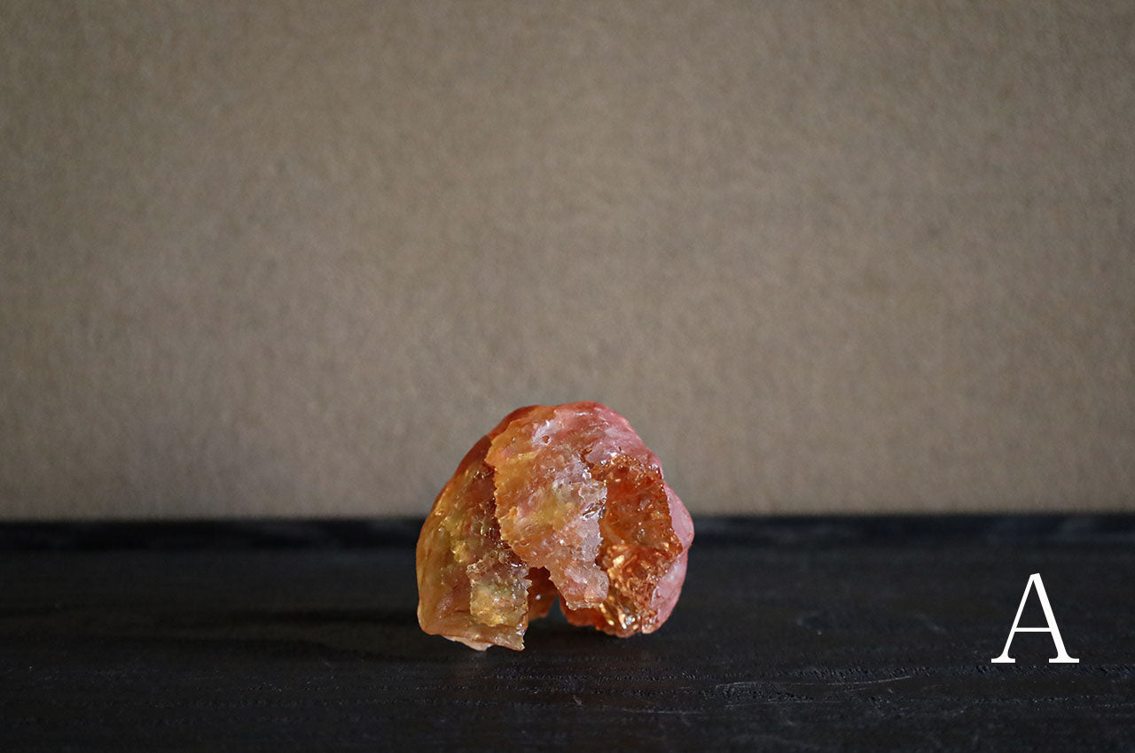 Marina Yonetsu Fruit (Chinese Lantern Plant)