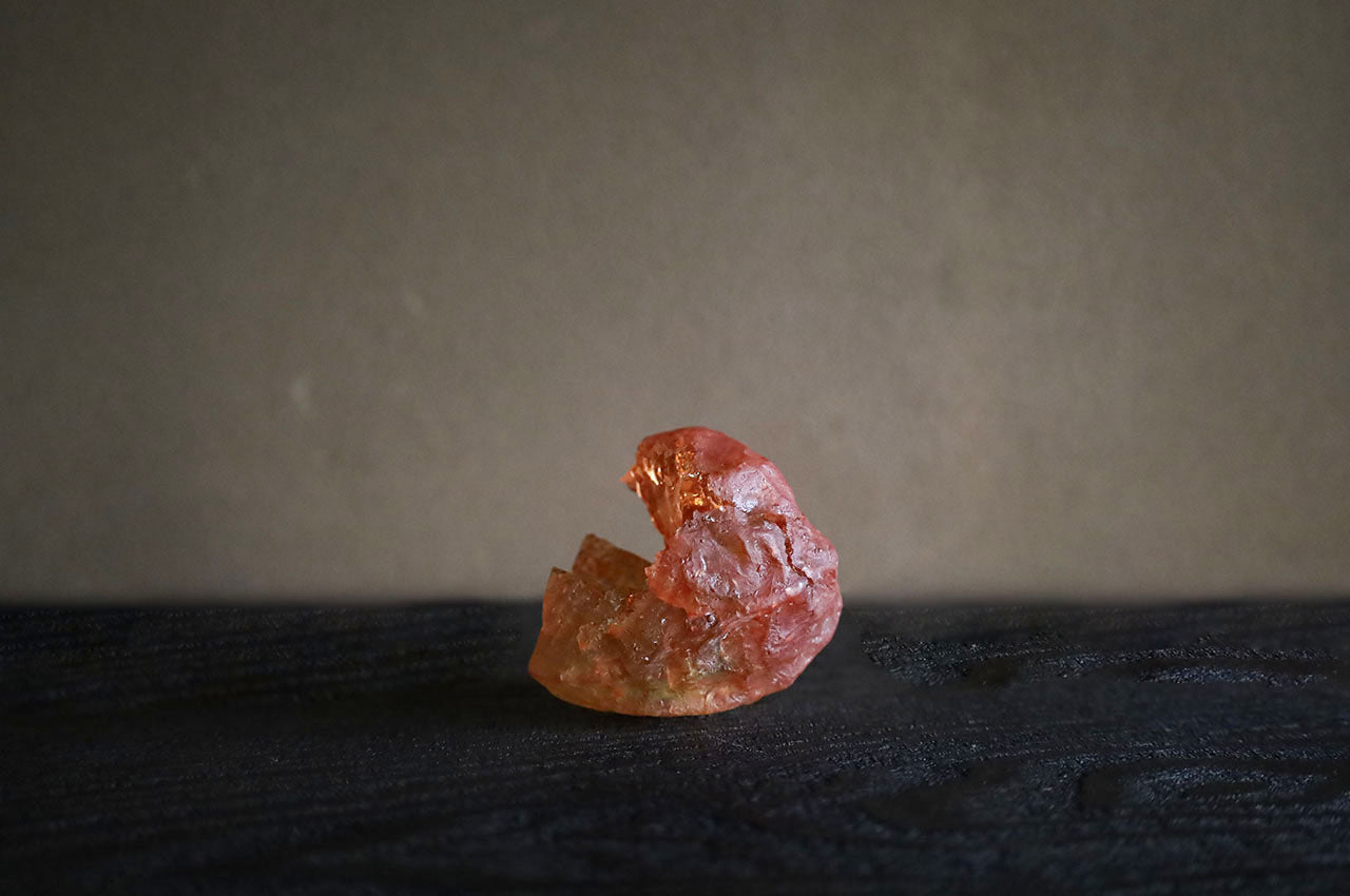 Marina Yonetsu Fruit (Chinese Lantern Plant)