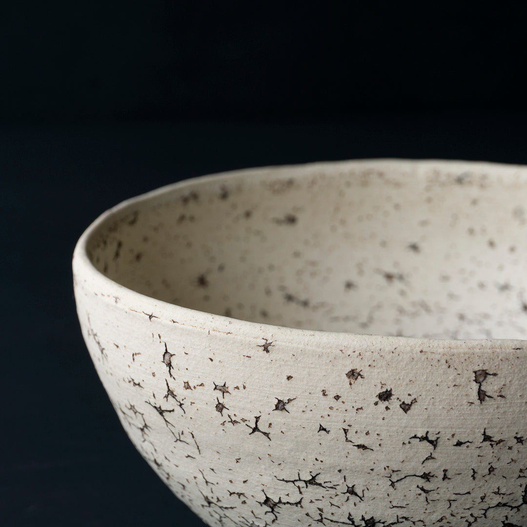 Gaku Nakane Rice Bowl