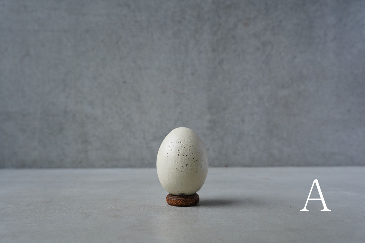 ●24-NM 30水田典寿  egg object (Low pedestal)