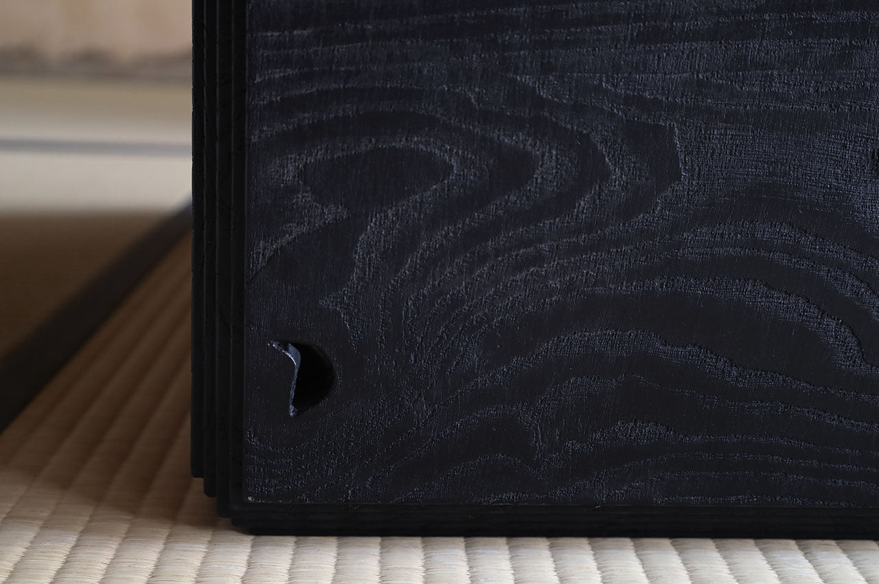 Fuyou Brion Trunk - Black