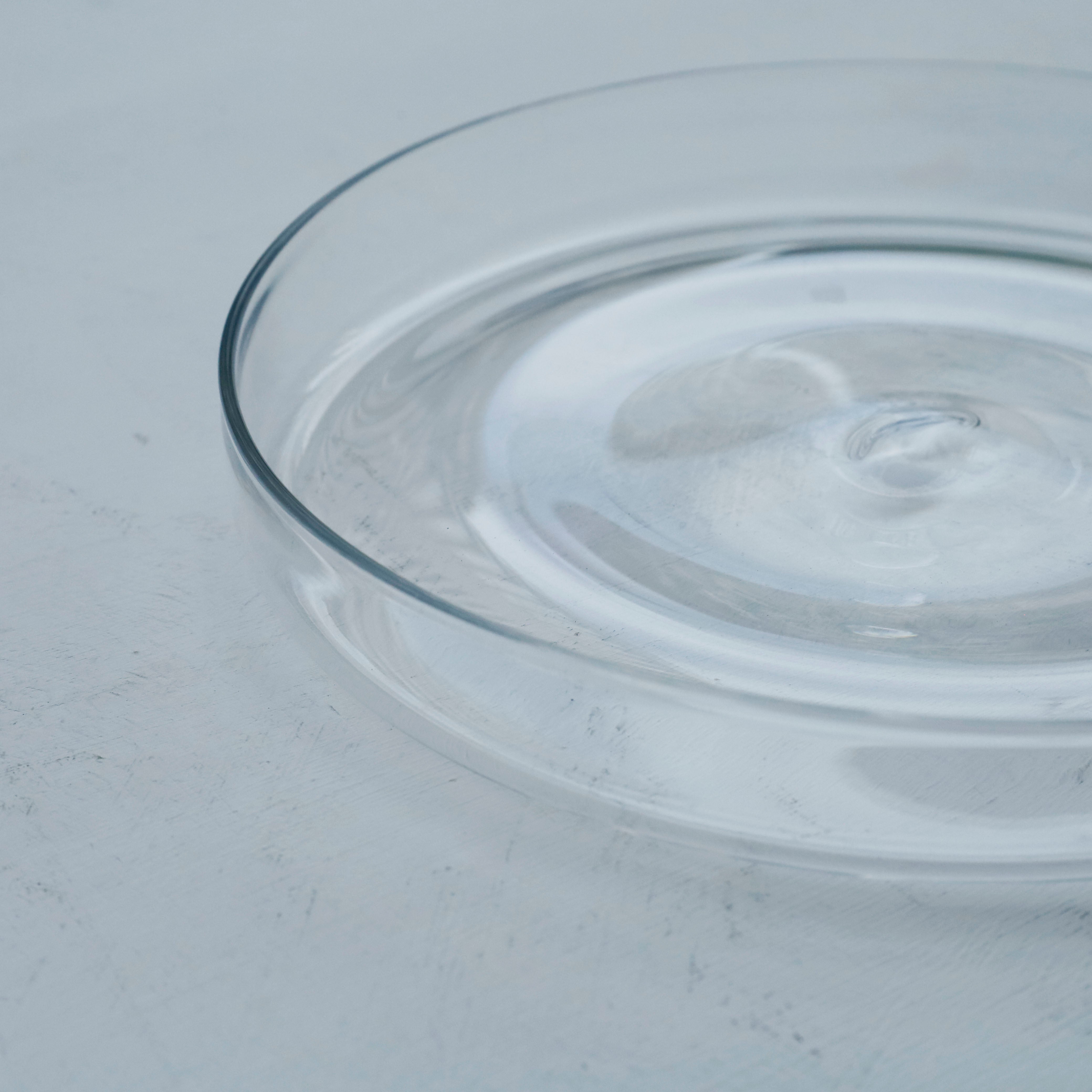 ●26-TE-145 Straight Rim Plate CLEAR