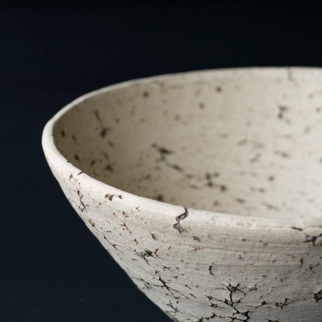 Gaku Nakane　Rice Bowl